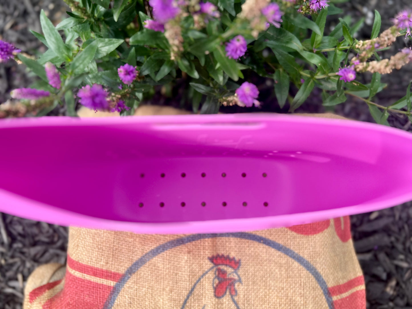 Hefty Hen Egg & Garden Bag, Pretty in Pink